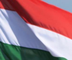 пазл Флаг Венгрии